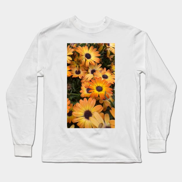 Orange Daisies Long Sleeve T-Shirt by ElisabethFriday